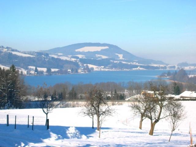 Pension Winter Zell am Moos Zewnętrze zdjęcie